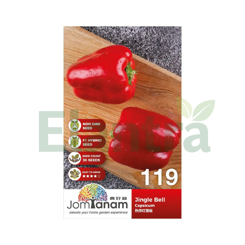 119 CAPSICUM